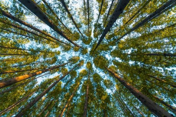 整套噴塑流水線設(shè)備廠:生意盎然的春正踏步而來！