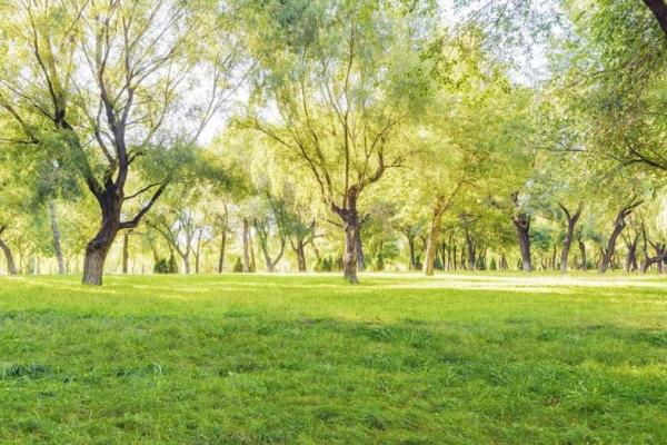 整套噴塑流水線設(shè)備廠:生意盎然的春正踏步而來！